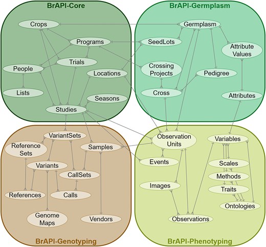 A simplified domain map of the whole BrAPI data model, divided into organizational modules. A more detailed Entity Relationship Diagram (ERD) is available on brapi.org.
