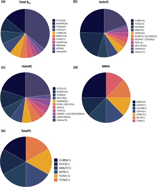 Distribution of genes reported to be associated with different B12 traits: (a) total plasma/serum B12, (b) holoTC (active B12), (c) holohaptocorrin (holoHC), (d) MMA, and (e) total transcobalamin (totalTC) levels. The number in parentheses next to each gene name represents the count of reported variants within that gene.