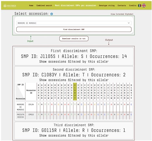 ‘Most Discriminant SNPs per Accession’ query mode. The top section features a drop-down menu enabling users to select a specific accession for identification. The bottom section displays the output as tables listing the SNPs necessary to uniquely identify the selected accession. For each SNP, the table provides its ID, corresponding allele, and the number of occurrences across the database. For the input accession ‘Marrone di Mondovi’, marker J1105S with allele S distinguishes 14 accessions, with the full list accessible via the ‘Show accessions filtered by this allele’ link. The second marker, C1083Y with allele T, further reduces the dataset to just 2 accessions. Finally, marker G0115R with allele R is unique to ‘Marrone di Mondovi’. Together, these three markers uniquely identify ‘Marrone di Mondovi’ among the 150 accessions in the database. The system uses an iterative algorithm that progressively refines the list of candidate accessions, highlighting the most informative SNPs for precise discrimination.