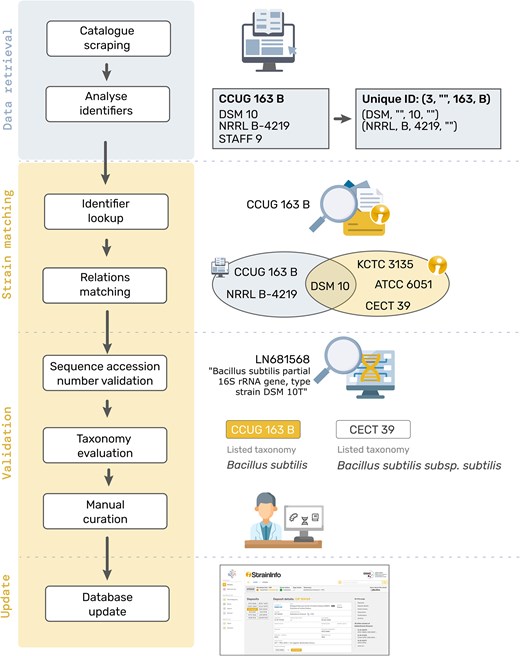 The figure shows the different steps of the matching process: Catalogue scraping, analysis of identifiers, identifier lookup, relations matching, sequence accession number validation, taxonomy evaluation, manual curation, and finally the database update.