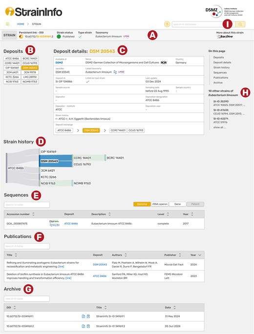 The caption describes what this image shows.