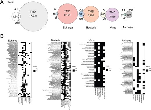 Comparison of Gemini AI and TMD annotations. (A) Overlapped and unique number of taxa in the total database and in each domain by each annotation approach (Gemini AI or TMD). (B) Matrix of annotations by AI compared with TMD in the overlapped taxa. Characteristics that match are depicted in black and discrepancies in white.