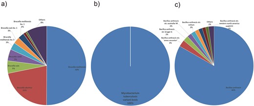 Species distribution of bacterial pathogens. (a) Brucella species distribution: B. melitensis (58%) and B. abortus (22%) dominate. (b) Mycobacterium tuberculosis species distribution: M. tuberculosis variant bovis accounts for 100% of detected species. (c) Bacillus anthracis species distribution: B. anthracis and other species account for 85%, indicating strain diversity.