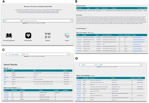 Overview of the Gene Loss DB and search methods. (A) Homepage with navigation options. (B) Reference gene page displaying GLoss annotations linked to a specific gene. (C) Search results for a GO term query, showing associated genes. (D) Search results for a species query, listing gene loss events reported for the selected species.