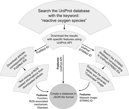 Flowchart of ROSBase curation.