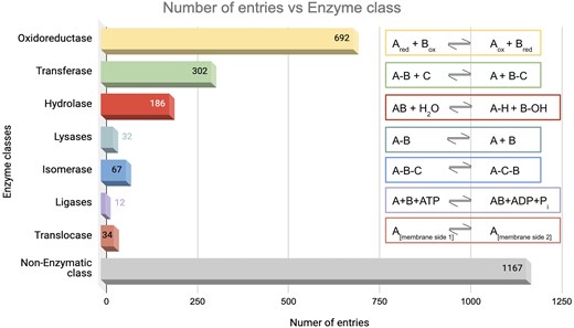 Distribution of enzyme classes in this database. Numbers of entries in each category are shown. The reactions catalysed by the respective enzyme classes are shown on the right-hand side.