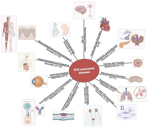 Distribution of disease categories (based on disease anatomy) in this database. Numbers of entries in each category are shown.