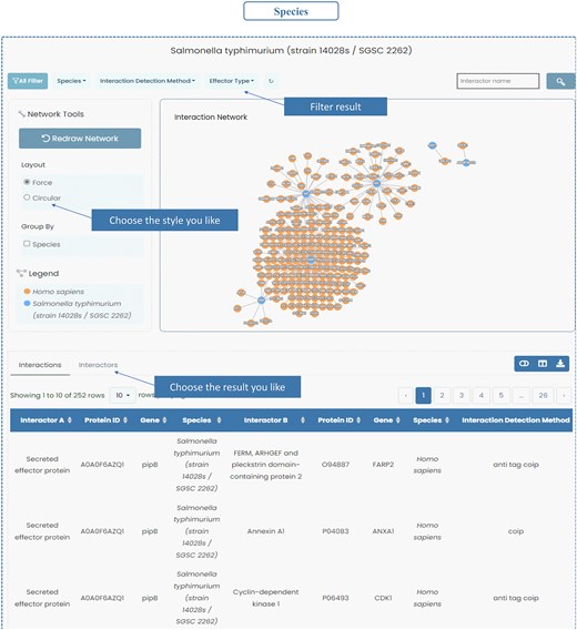 Species of InTxDB. InTxDB provides species-specific interaction networks, allowing users to explore bacterial effector–host interactions across different bacterial species. Users can filter results by species, interaction detection method, and effector type, with options to toggle between ‘Interactions’ and ‘Interactors’ for a more detailed analysis of the dataset.