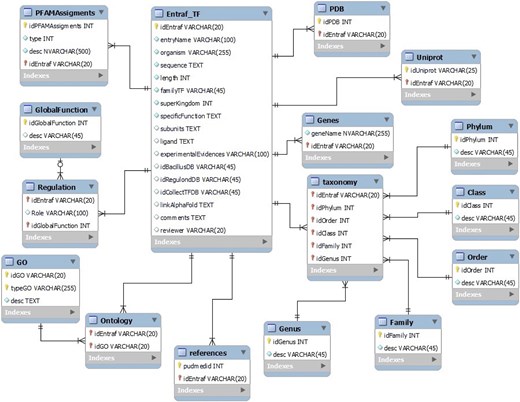 Relational MySQL database. We show the tables and their relations. The whole database in csv format is available at https://github.com/BioIIMAS/ENTRAF/ section data and database (FAQ).
