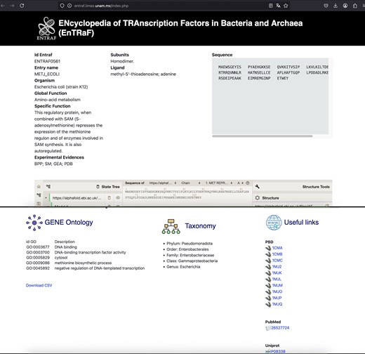 Information of MetJ in the bacterium E. coli is displayed. The EnTRaF ID, entry name, organism, global and specific function, subunits, ligands, sequences, AlphaFold model, gene ontology, taxonomy, and links to PBD, PubMed, and Uniprot are displayed.