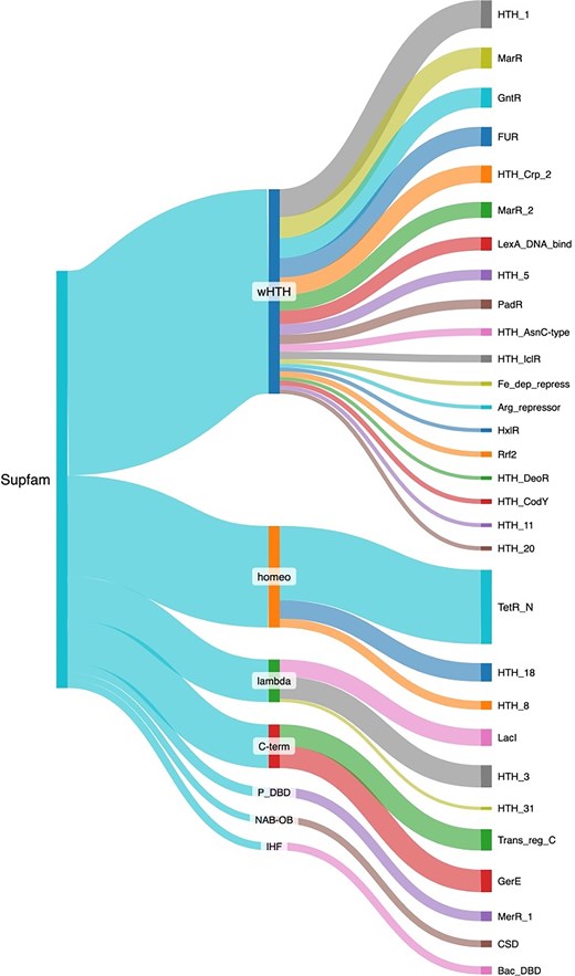 Structural classification of the TFs included in ENTRAF. Superfamilies with more than 10 proteins were displayed, such as wHTH, homeo, lambda, C-Term, P-DBD, NAB-OB, and IHF. In addition, families determined by PFAM are also displayed. See text for details. In Supplementary Material S2, https://github.com/BioIIMAS/ENTRAF/, and database (Plots), all the superfamily and family assignments are provided.