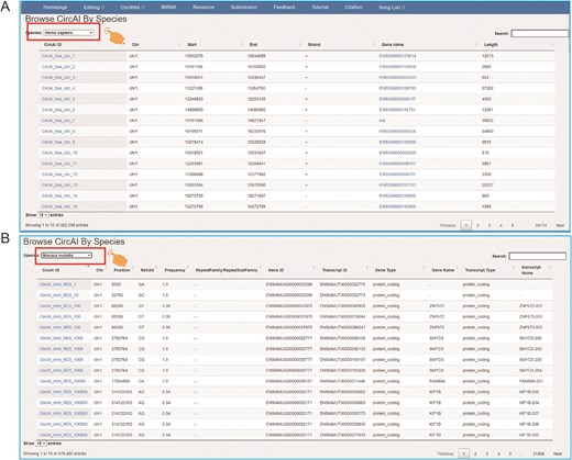 The page of CircAI’s (A) circRNA and (B) RNA editing detailed information.