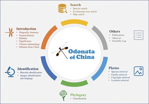 An overview of Odonata of China database. The main data contents and statistics including search, identification, photos, and phylogeny.