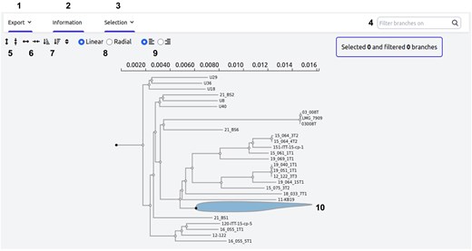 Phylogenetic tree visualization. This annotated screenshot displays the interactive phylogenetic tree available on MoPSeq-DB for Vibrio aestuarianus, providing users with several interactive options. 1—Export: save the tree in Newick format or as an image with the current selection; 2—information: access the commands used to generate the tree; 3—selection: select different elements within the tree; 4—search for samples and highlight them directly; 5—enlarge or shrink the tree vertically; 6—enlarge or shrink the tree horizontally; 7—reorganize the tree based on clade size; 8—switch between linear or radial configuration; 9—align sample names or attach them to the tree branches; 10—hide or collapse sub-trees for a cleaner view.