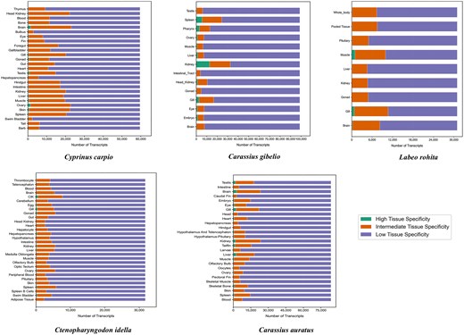 Histogram showing the distribution of highly specific, intermediate, and housekeeping genes across the five major Cyprinidae species, based on tau (τ) score classification.