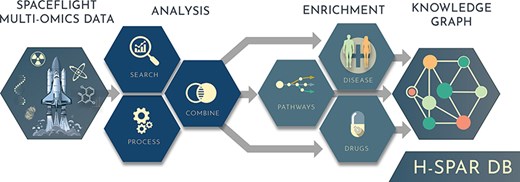 Graphical Abstract