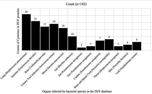 Disease-causing bacteria infecting different organs, categories based on anatomy. Counts of cysteine residues present in DUF proteins per disease category are shown.