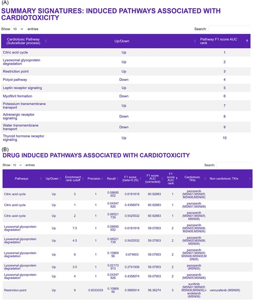Pathways predicted to be associated with TKI-induced cardiotoxicity. (A) The top 25 up- and downregulated pathways that were predicted to be associated with TKI-induced cardiotoxicity can be queried on the ‘Drug-induced pathways associated with cardiotoxicity’ page. This page can be opened by selecting ‘Pathways’ in the ‘Summary of signatures for cardiotoxicity’ box on the main page. (B) The second spreadsheet shows the pathway genes induced by cardiotoxic TKIs in the six human iPSC-derived cardiomyocyte cell lines used in this study. This spreadsheet can be found by first selecting the ‘Bulk transcriptomic datasets—Metadata’ button on the main page, and then ‘Drug-induced pathways associated with cardiotoxicity’ on the next page.