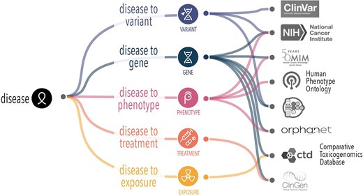 A diagram demonstrating the connections between diseases, variants, genes, phenotypes, treatment, and exposures and the connections to external terminologies and databases.
