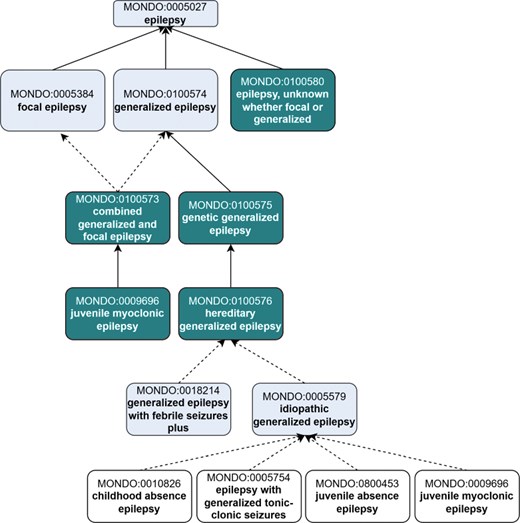 A hierarchical diagram illustrating the classification of ontology terms.