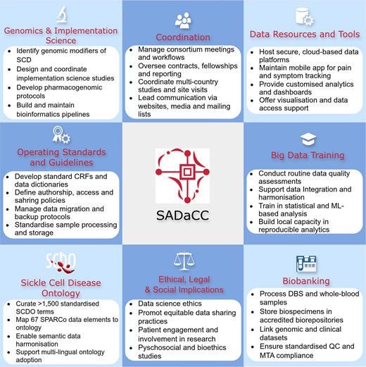 SADaCC-based activities in developing and expanding the SickleInAfrica registry.