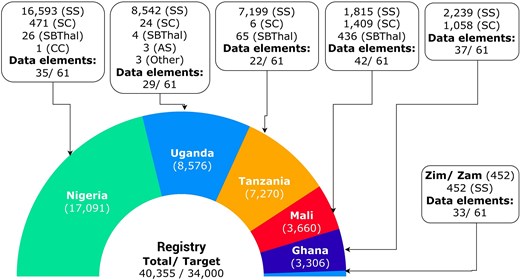 Available data in the SickleInAfrica registry from SPARCo clinical sites (November 2025). Zim/Zam: Zimbabwe and Zambia.