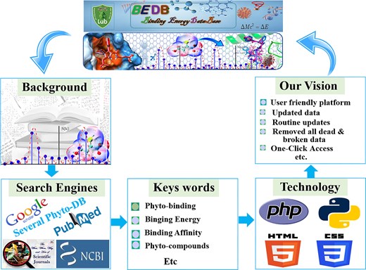 A graphical representation of the BEDB illustrates several key components. It provides a background understanding that offers context for the database. The section on data search engines highlights the various search engines used for data collection. Additionally, the specific keywords utilized during data gathering are listed, and the programming techniques employed in the database creation are outlined. Finally, the objectives and vision of the database are detailed, showcasing the goals and aspirations that underpin its development.