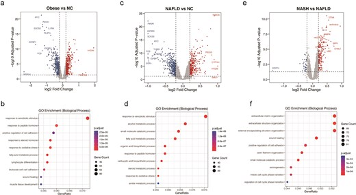 Differential expression and functional enrichment analyses across disease stages. Volcano plots and GO Biological Process enrichment bubble plots compare obese versus normal, NAFLD versus normal, and NASH versus NAFLD, showing stage-specific transcriptional changes and associated biological processes.