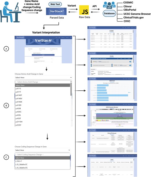 VarStack2 uses APIs to retrieve information from COSMIC, ClinVar, cBioPortal, UCSC Genome Browser, ClinicalTrials.gov, and CIViC. An iframe was used for UCSC Genome Browser and ClinVar.