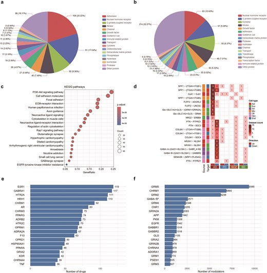 Functional characterization of dysregulated ligand–receptor pairs. Panels a and b show the distribution of protein classes for ligands and receptors identified from single-cell and spatial transcriptomics data, respectively. Panel c displays a bar graph of significantly enriched KEGG pathways. Panel d is a matrix highlighting frequently altered interactions across diseases, while panels e and f are barplots ranking targets by their associated drugs and allosteric modulators.
