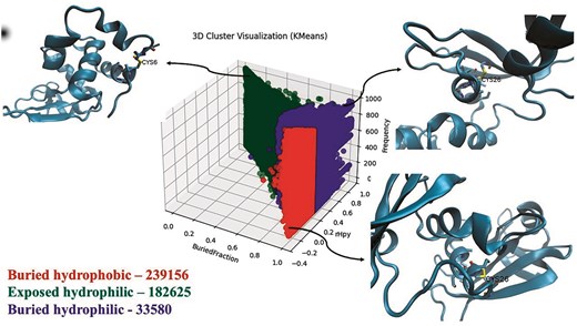 Protein microenvironment clusters around cysteine.