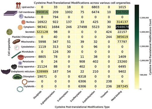 Heatmap of Cys-PTMs across cell organelles.