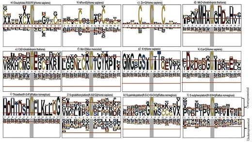Sequence motifs around Cys-PTMs.