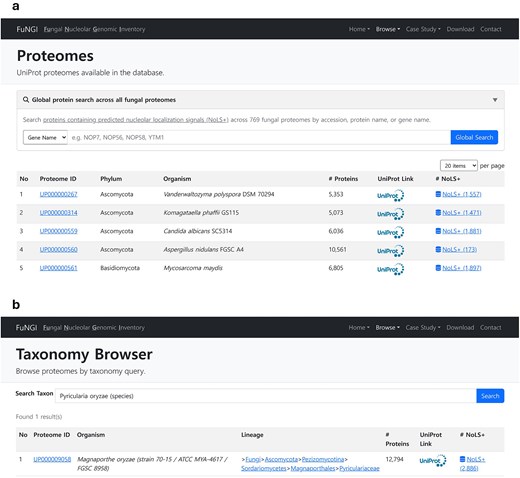 Two-panel screenshot of the FuNGI web interface for exploring fungal proteomes. Panel (a): the Proteomes page, listing UniProt proteomes available in the database, with a global search bar (filterable by gene name, accession, or protein name) and a paginated results table showing Proteome ID, phylum, organism, total number of proteins, UniProt cross-link, and the number of predicted NoLS-containing proteins (NoLS+) per proteome. Panel (b): the Taxonomy Browser page, which allows users to search proteomes by genus or species and returns results that additionally display the full taxonomic lineage. An example query for Pyricularia oryzae returns Magnaporthe oryzae with 12,794 proteins and 2,886 predicted NoLS+ entries.