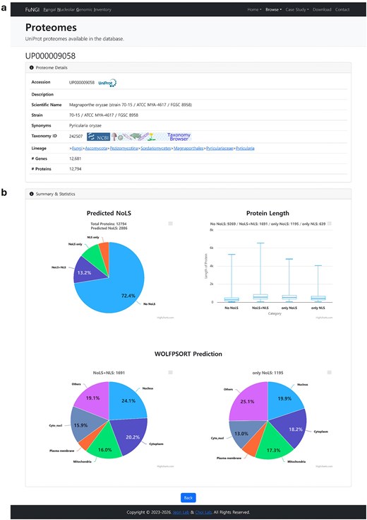 Two-panel screenshot of an individual proteome detail page in FuNGI. Panel (a): the Proteome Details metadata table for UniProt proteome UP000009058 (Magnaporthe oryzae), listing accession, scientific name, strain, synonyms, taxonomy ID with NCBI cross-link, full lineage, 12,681 genes, and 12,794 proteins. Panel (b): the Summary and Statistics section, containing a pie chart of predicted nucleolar localization signal (NoLS) categories (with both NoLS and NLS-containing proteins comprising 13.2%), a boxplot of protein length distributions across four categories (No NoLS, NoLS+NLS, only NoLS, only NLS), and two pie charts showing WoLF PSORT subcellular localization predictions for proteins containing both NoLSs and NLSs and for proteins containing only NoLSs.