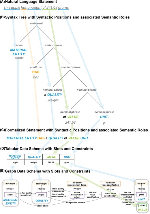 An overview graphic, showing different ways of modelling the same semantic content. At the top is a natural language statement, followed by a syntax tree of the same statement with syntactic positions and their associated semantic roles, then a formalized statement with the same syntactic positions and roles, a tabular data schema and an OWL-based RDF schema of the same content. Arrows across the different models identify same entities and properties.
