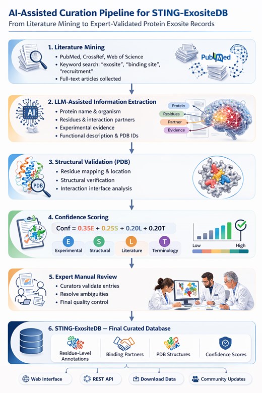 Six-stage vertical flowchart depicting the ExositeDB AI-assisted curation pipeline. Stage 1 (Literature Mining): structured PubMed queries and PDF acquisition. Stage 2 (LLM-Assisted Extraction): three-pass GPT-4o analysis for document triage, data extraction, and consistency verification. Stage 3 (Structural Validation): PDB structure retrieval, SIFTS residue mapping, and interaction interface analysis. Stage 4 (Confidence Scoring): four-component formula (0.35E + 0.25S + 0.20L + 0.20T) with color-coded tier badges (High, Medium, Low). Stage 5 (Expert Manual Review): curator validation, quality control, and final adjudication. Stage 6 (Final Curated Database): production MySQL database with web interface, REST API, structured data, PDB structures, and confidence scores.