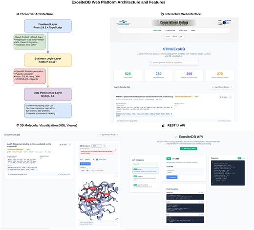 Four-panel figure showing the ExositeDB interactive web platform. Panel A: system architecture diagram with three-tier design showing React frontend, FastAPI backend, and MySQL database, connected via RESTful API with interactive 3D visualization. Panel B: screenshot of the search interface with faceted filtering options across protein name, organism, binding partner, experimental method, and confidence tier. Panel C: 3D molecular viewer using NGL Viewer displaying thrombin (PDB: 1PPB) with exosite I residues highlighted, supporting interactive rotation, zoom, and representation changes. Panel D: API endpoint overview showing RESTful endpoints for programmatic access to database records.