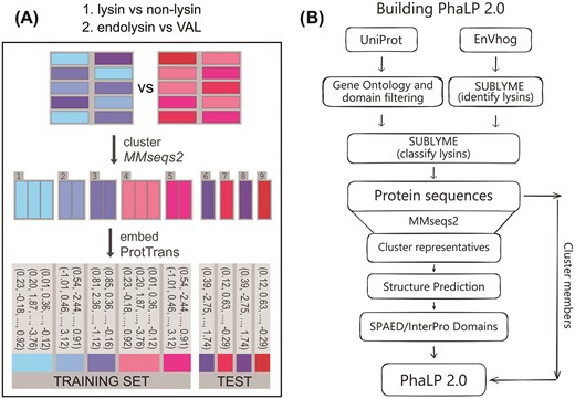 Schematic representations of the dataset used to train SUBLYME and of the data curation pipeline used to create PhaLP 2.0.