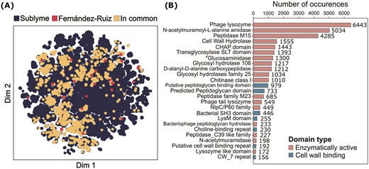 Visual representation of the embeddings of lysins identified in the Fernández-Ruiz dataset and barplot showing the number of enzymatically active and cell wall-binding domains found in those lysins.