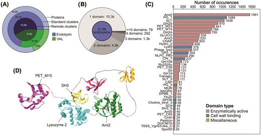 Graphs showing the number of lysins and of annotated domains as well as the 3D structure of an example hexamodular lysin identified in the EnVhog dataset.