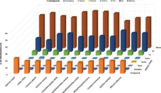 Three-dimensional bar chart showing the percentage distribution of microsatellite (SSR) repeat types across eleven cyprinid species. The x-axis lists the species, and the y-axis represents the percentage of microsatellites. Repeat categories include mono-, di-, tri-, tetra-, penta-, hexa-, complex, and compound repeats. Mononucleotide repeats are the most abundant repeat type in all species, followed by dinucleotide repeats, while the remaining repeat classes occur at lower frequencies.