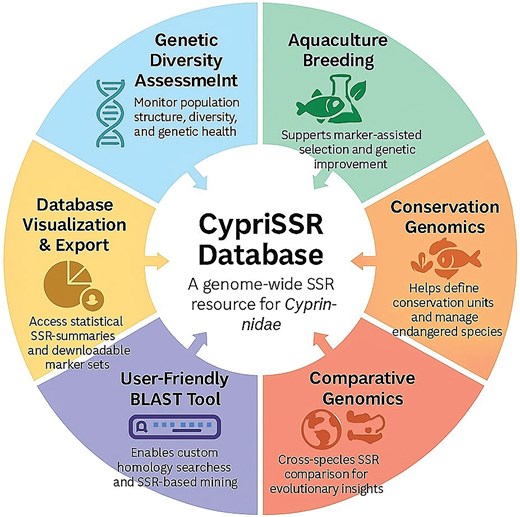 Circular infographic illustrating the key functionalities and applications of the CypriSSR database. At the center is the CypriSSR database, described as a genome-wide SSR resource for Cyprinidae. Surrounding sections highlight six major applications: genetic diversity assessment for monitoring population structure and genetic health; aquaculture breeding through marker-assisted selection and genetic improvement; conservation genomics for defining conservation units and managing endangered species; comparative genomics through cross-species SSR comparisons; a user-friendly BLAST tool for homology searches and SSR-based mining; and database visualization and export functions providing statistical summaries and downloadable marker datasets.