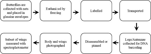 For image description, please refer to the figure legend and surrounding text.