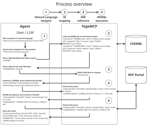 Flowchart showing the four-stage TogoMCP workflow in three columns: the agent (left) iteratively analyses the question, picks a database, requests an MIE file, and constructs SPARQL; TogoMCP (centre) returns ranked search hits, the MIE file, and SPARQL results; ChEMBL and the RDF Portal (right) are the external data sources.