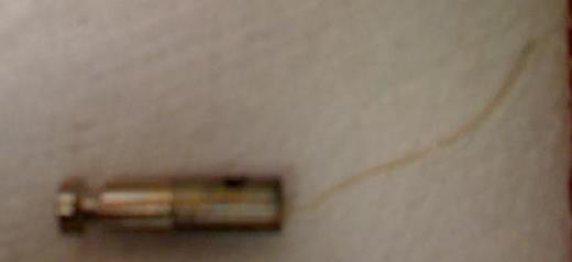 After attempt at removing dart at bedside in patient two, extracranial portion broke off