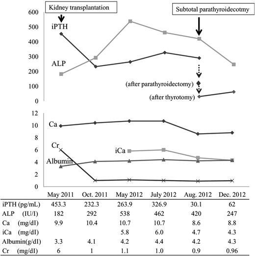 Serum intact parathyroid hormone (iPTH), alkaline phosphatase (ALP), calcium (Ca), ionized calcium (iCa), albumin and creatinine (Cr) levels from kidney transplantation to subtotal parathyroidectomy.