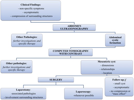 Flow chart of diagnosis and therapy.