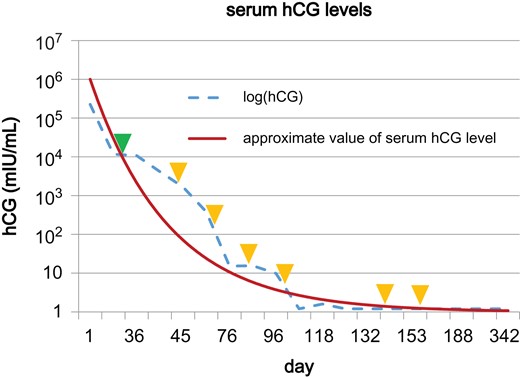 Graph showing the change in serum hCG levels from the first consultation to
the end of treatment. The green triangle indicates when the patient
underwent surgery (TAH and BSO), and the yellow triangle indicates
methotrexate treatments.