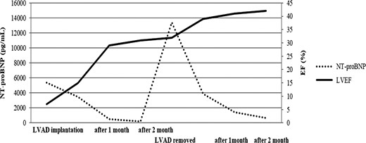 Serum NT-proBNP levels and the left ventricular ejection fraction (LVEF).